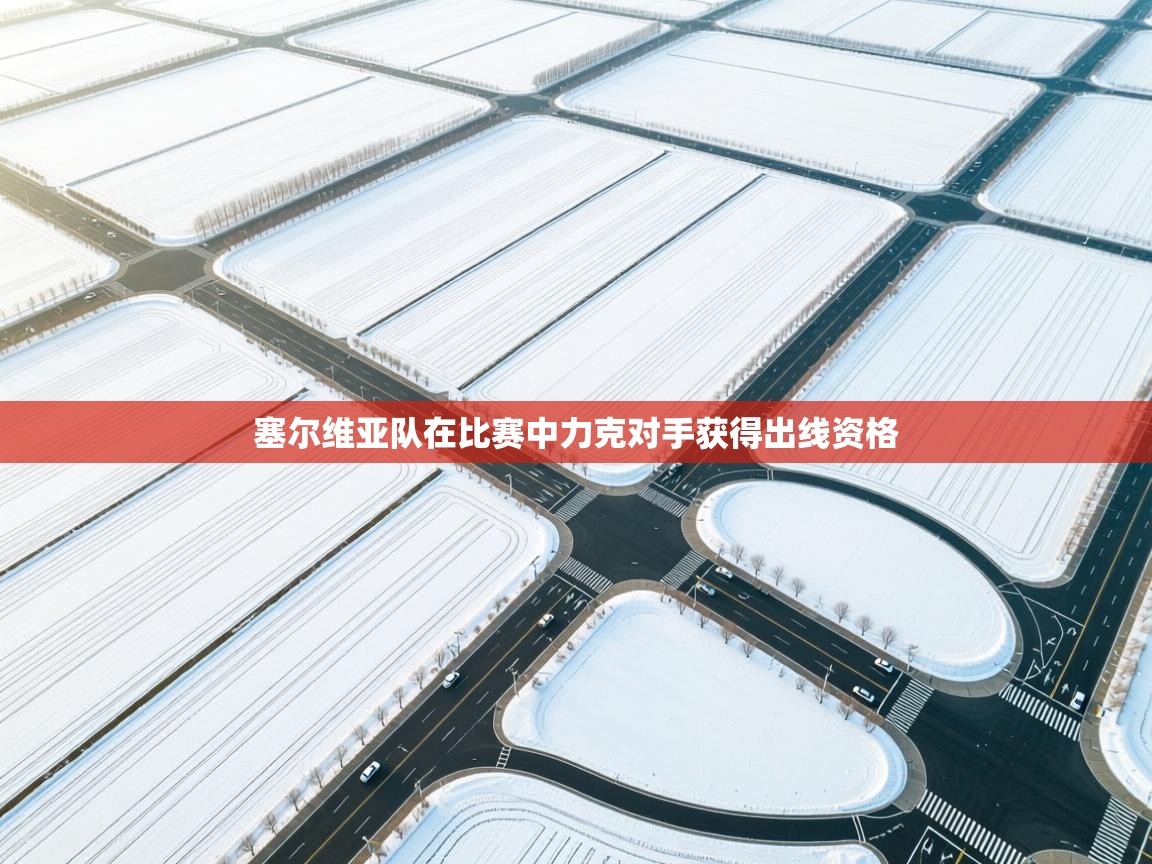 塞尔维亚队在比赛中力克对手获得出线资格